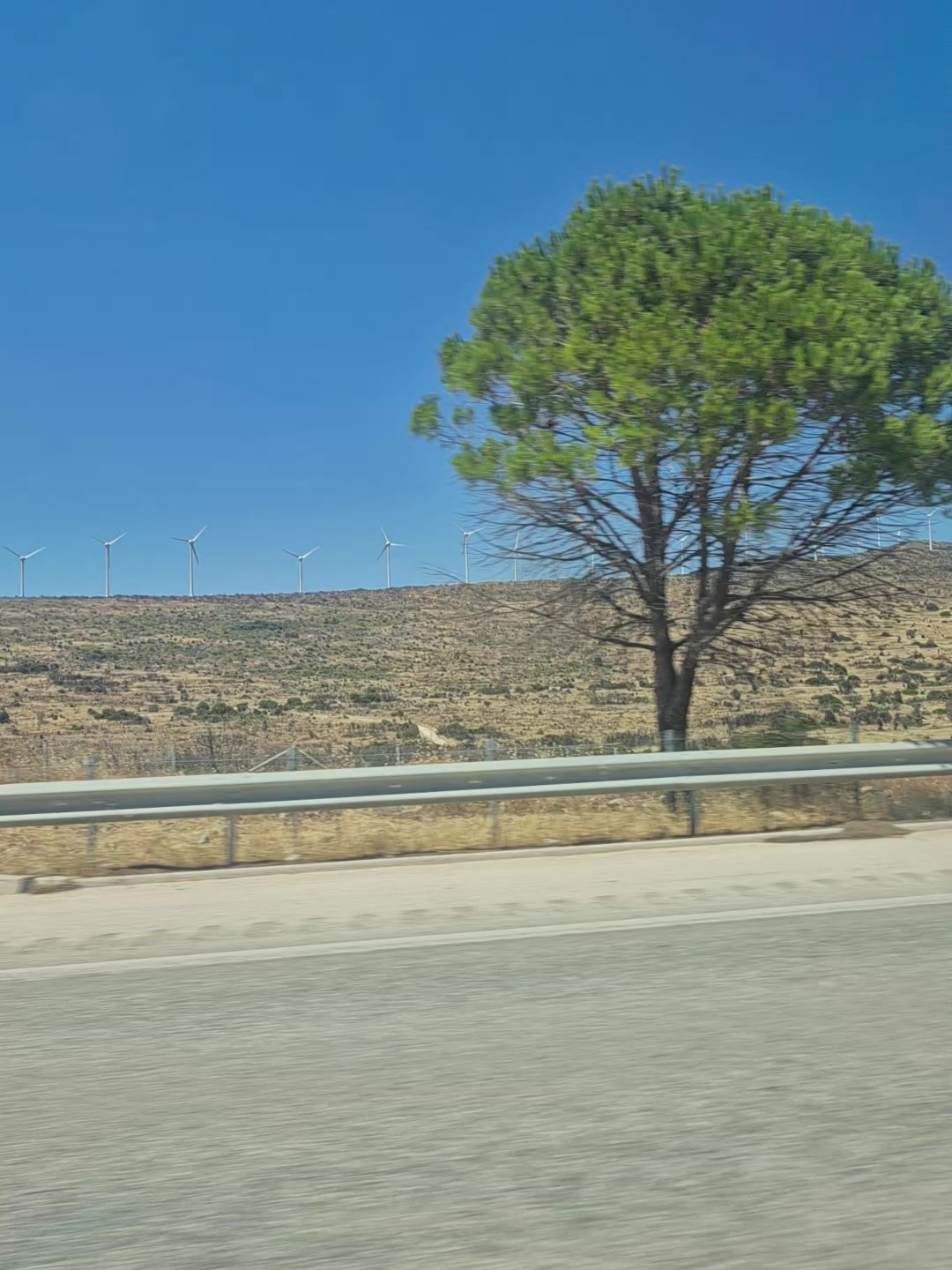 @G&uuml;lten &Ccedil;elik880