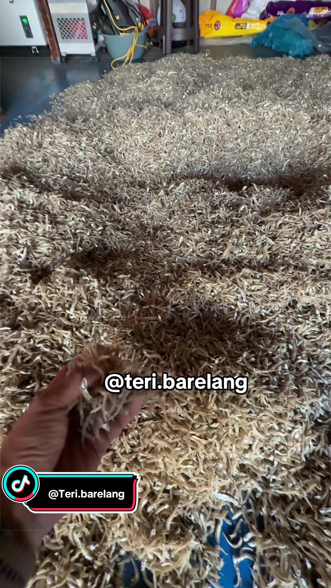 @Teri Barelang