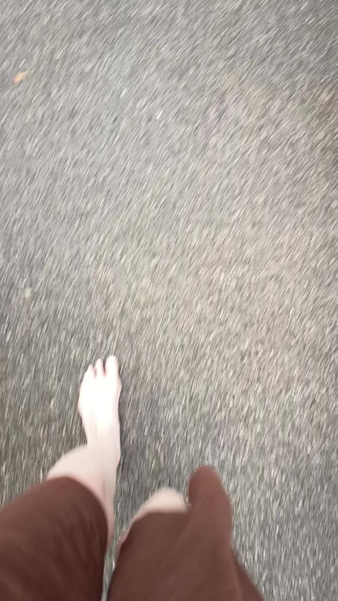 @S. T.