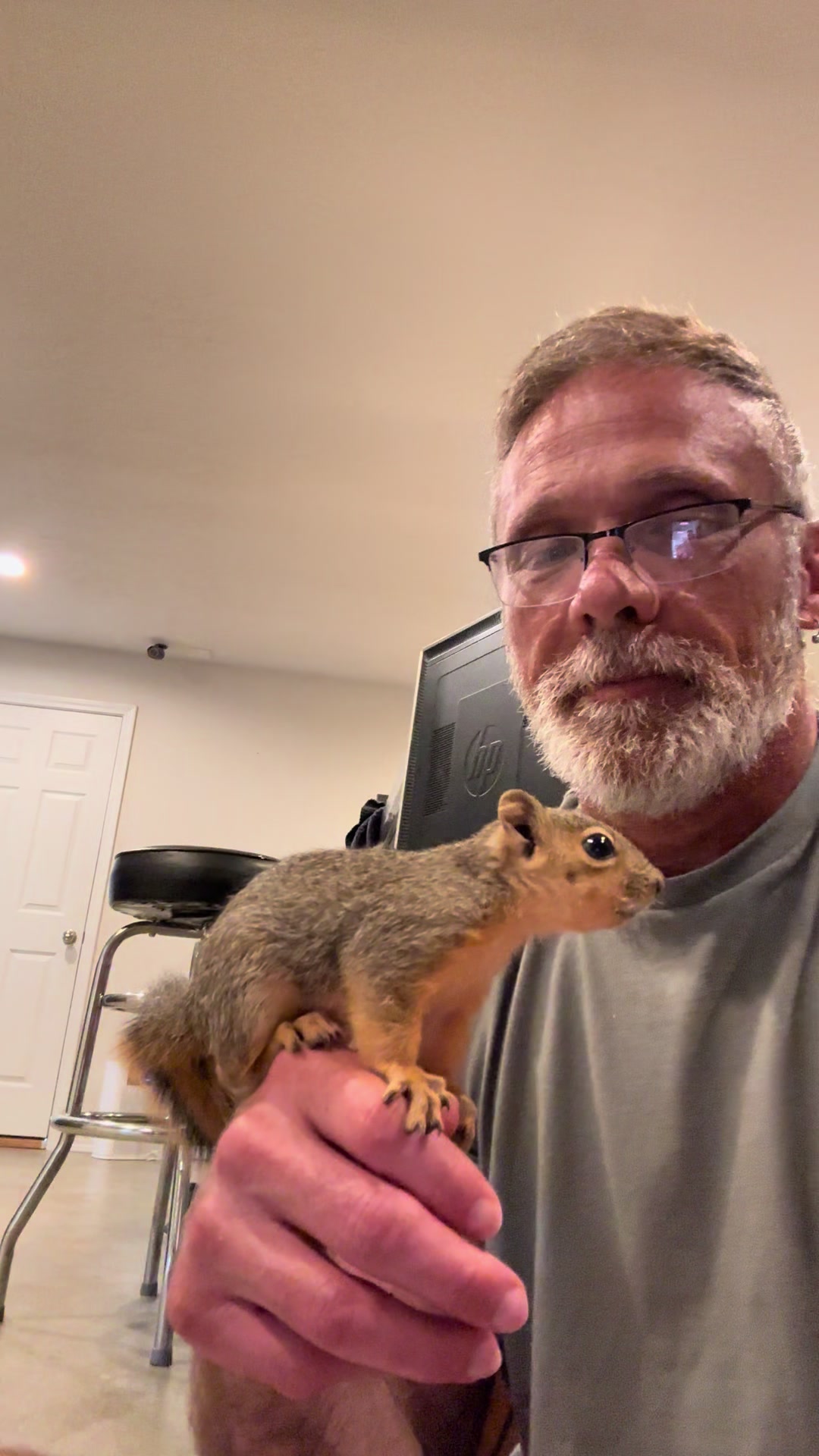 @Squirrel Guy
