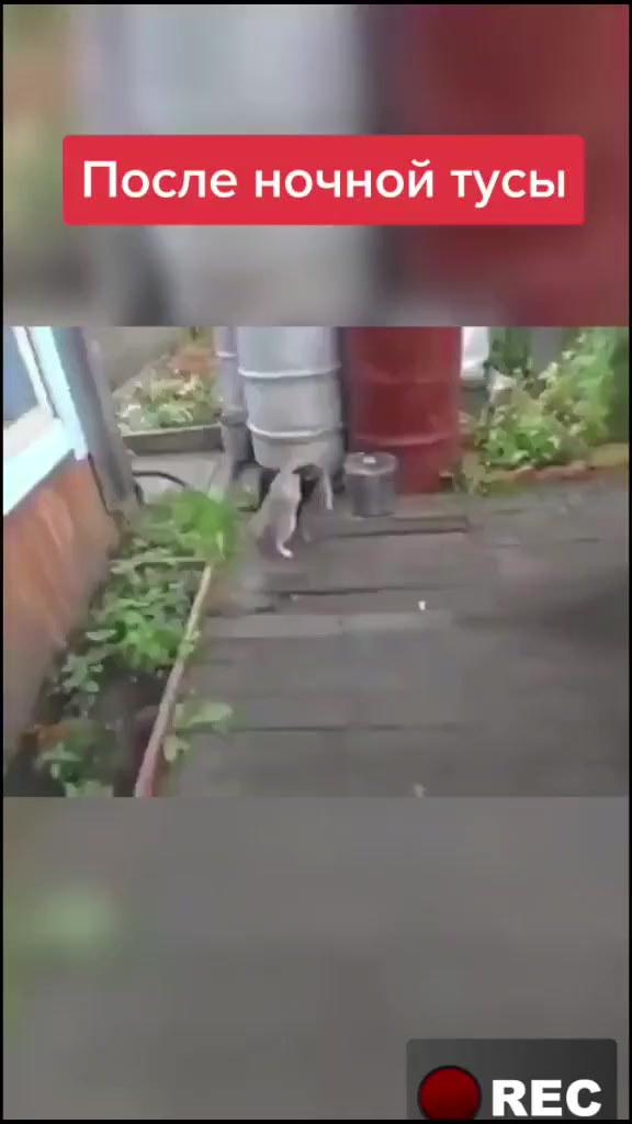 @Лариса