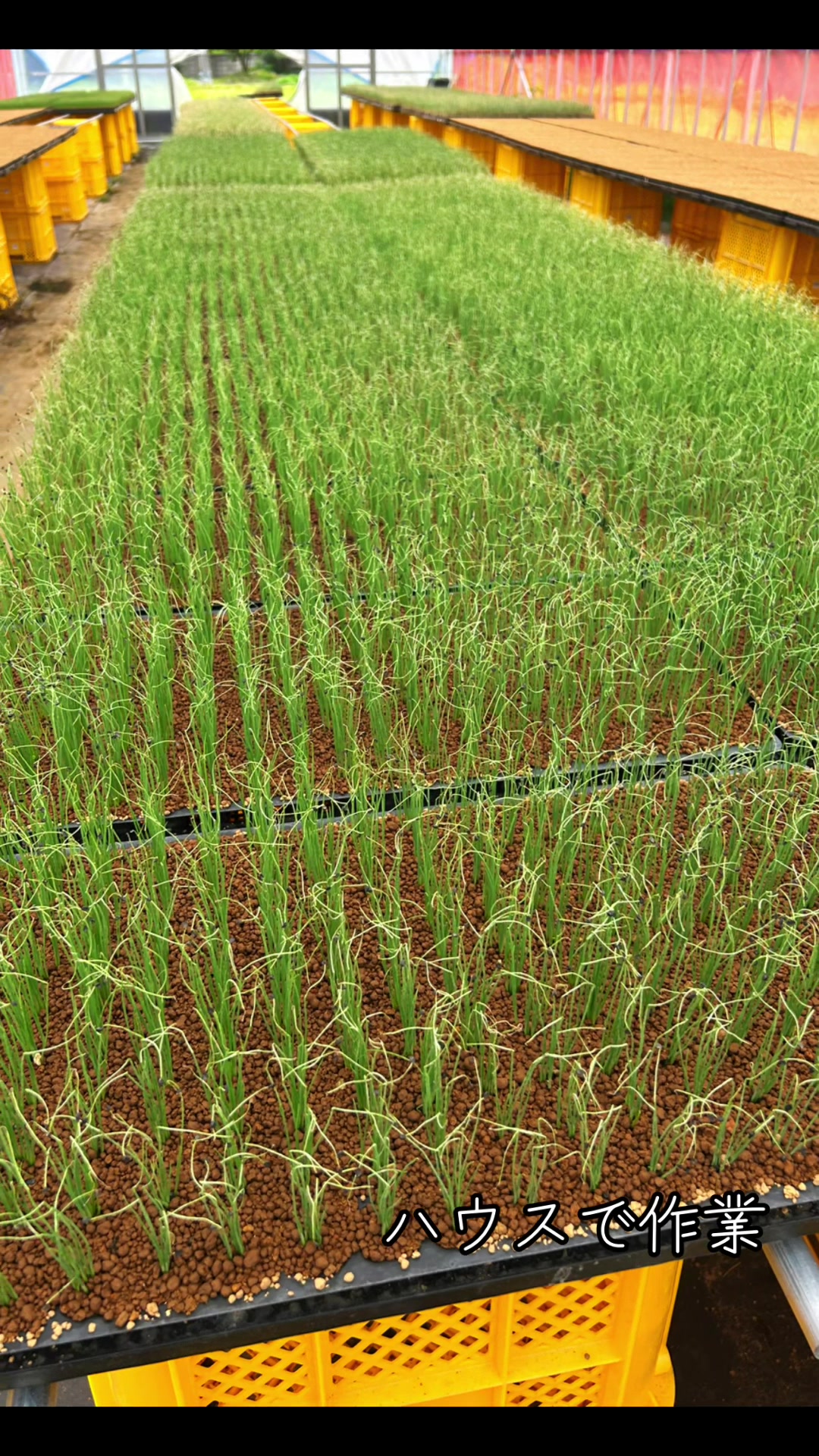 @snup.farm
