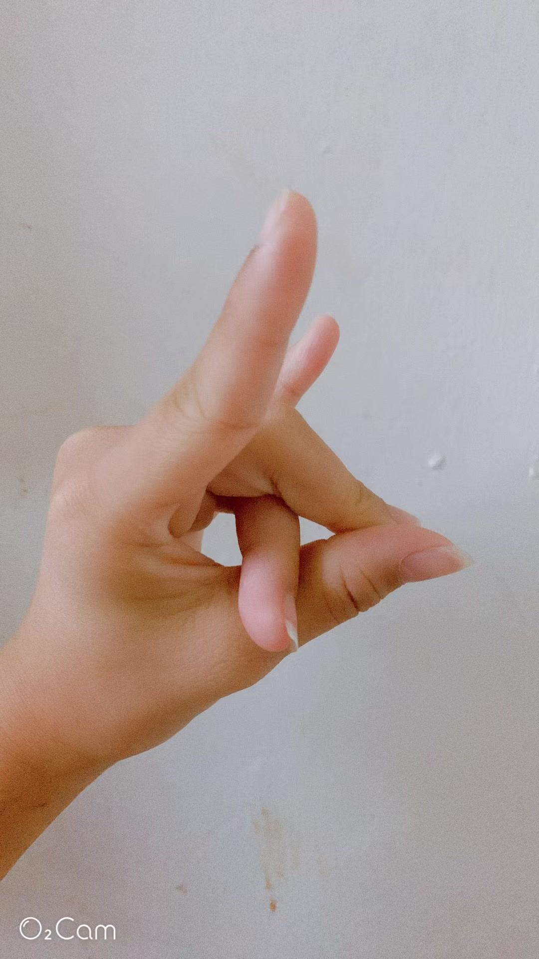 @寶雯