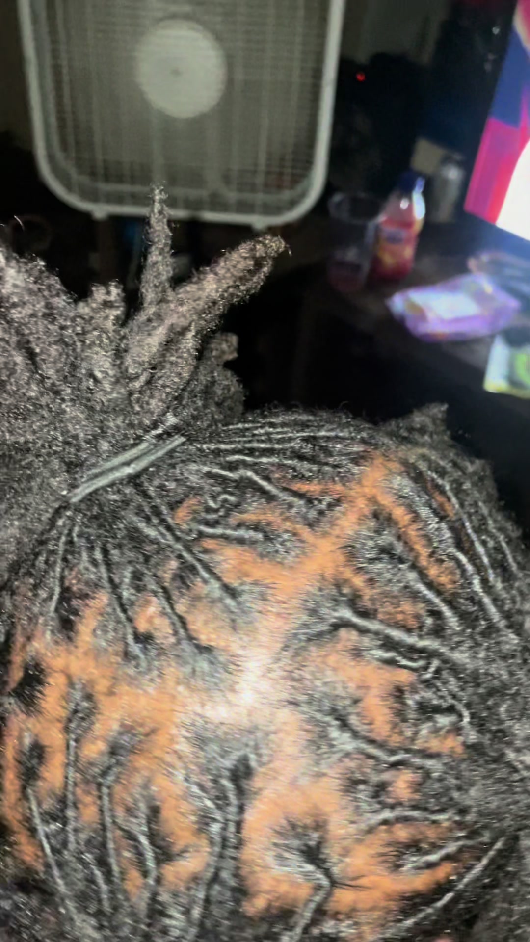 @205lee_
