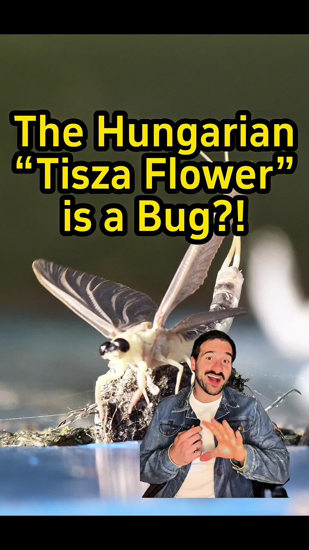 @Turan Explorer