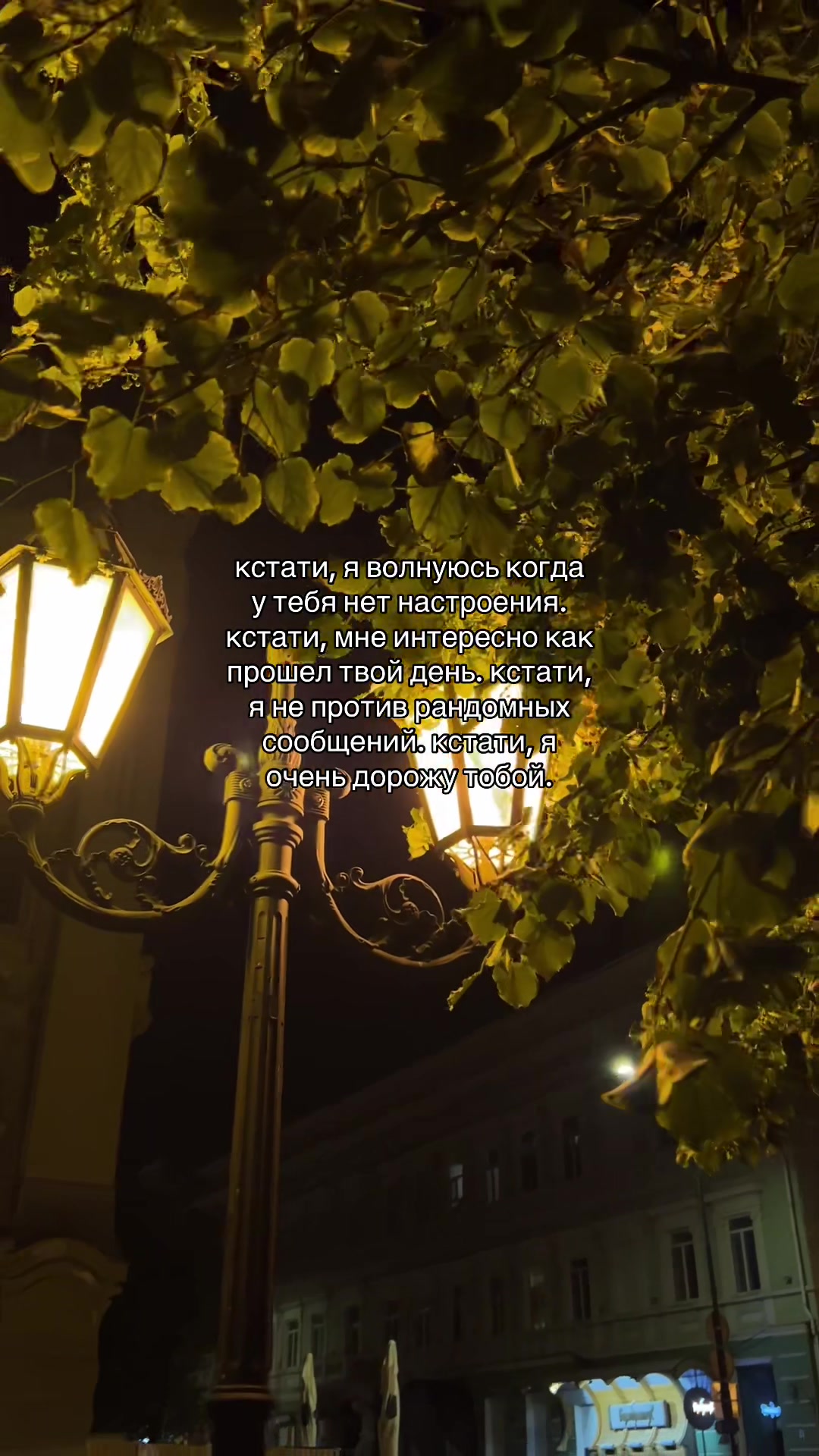 @кис кис💗