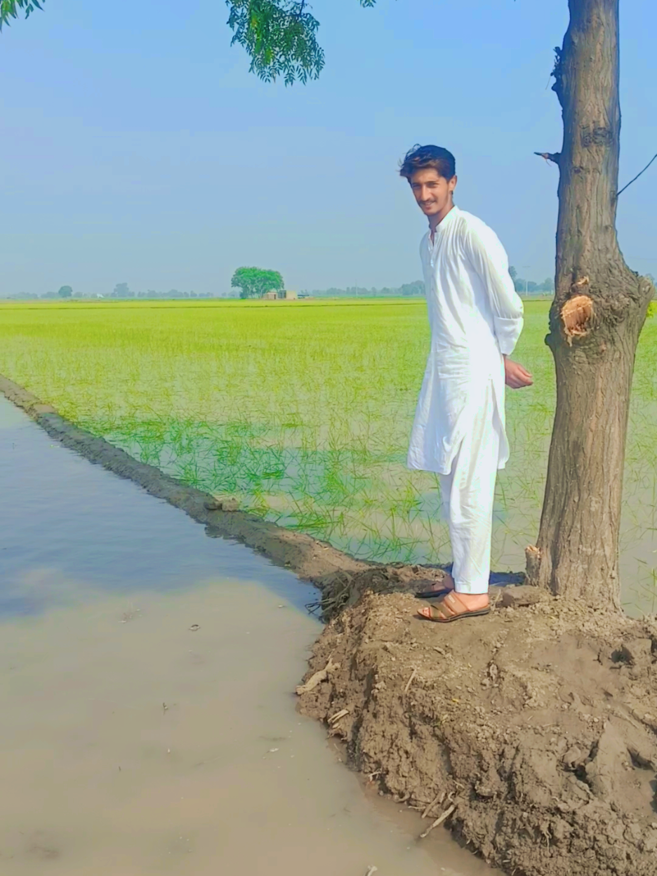 @ch Talha jutt نمبردار