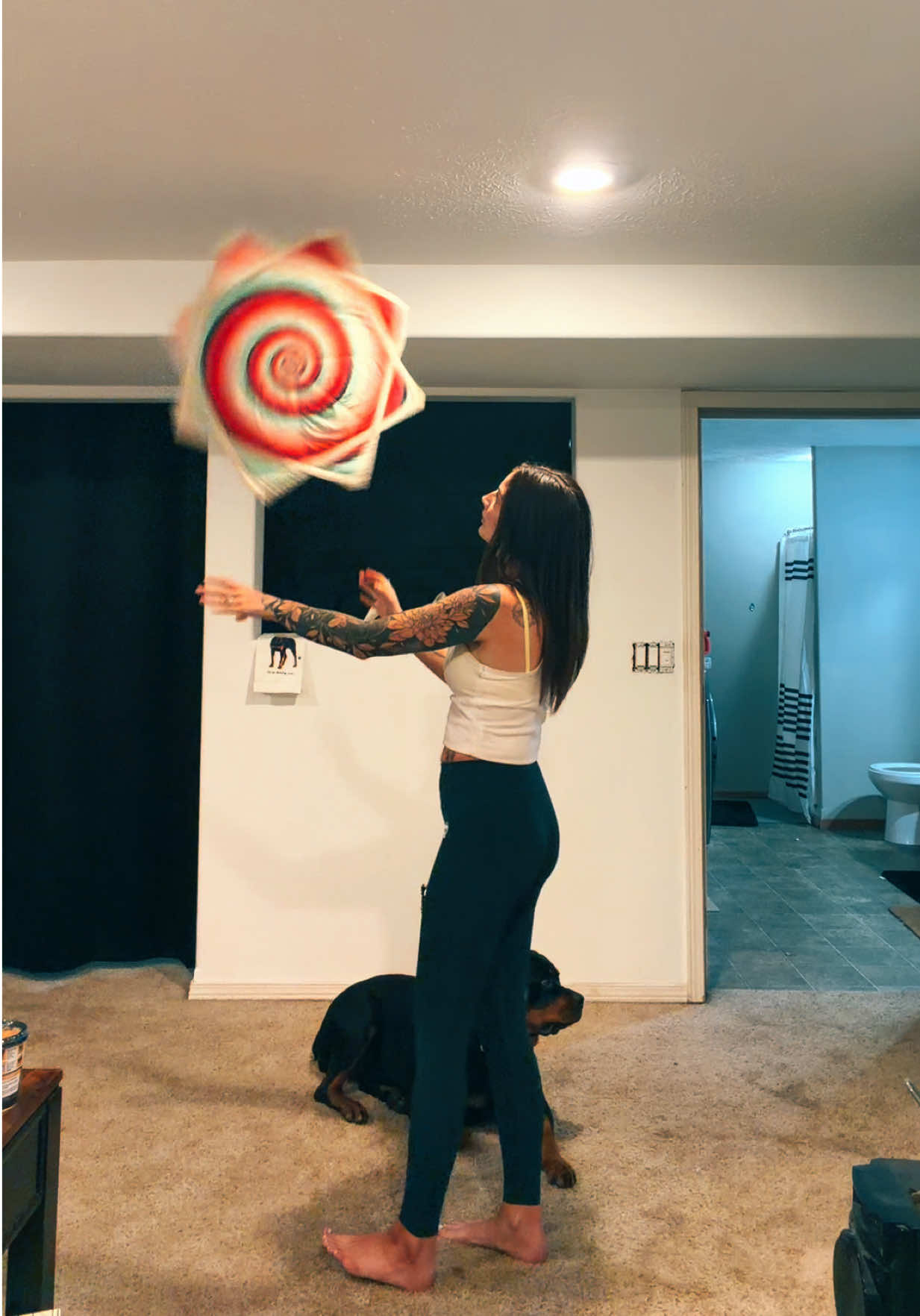 @karsynevarts