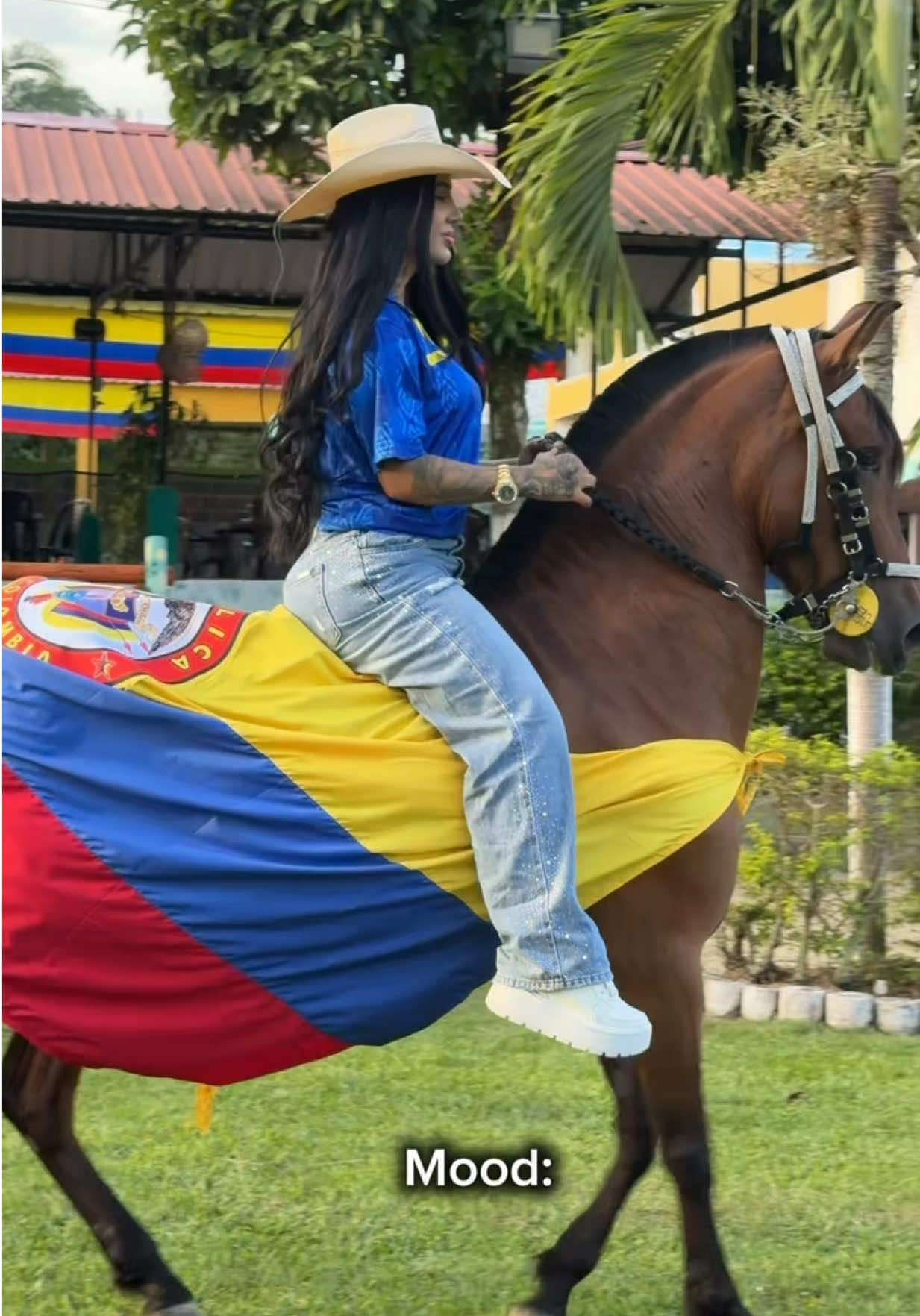 @Sofi Mu&ntilde;oz 🐴💗