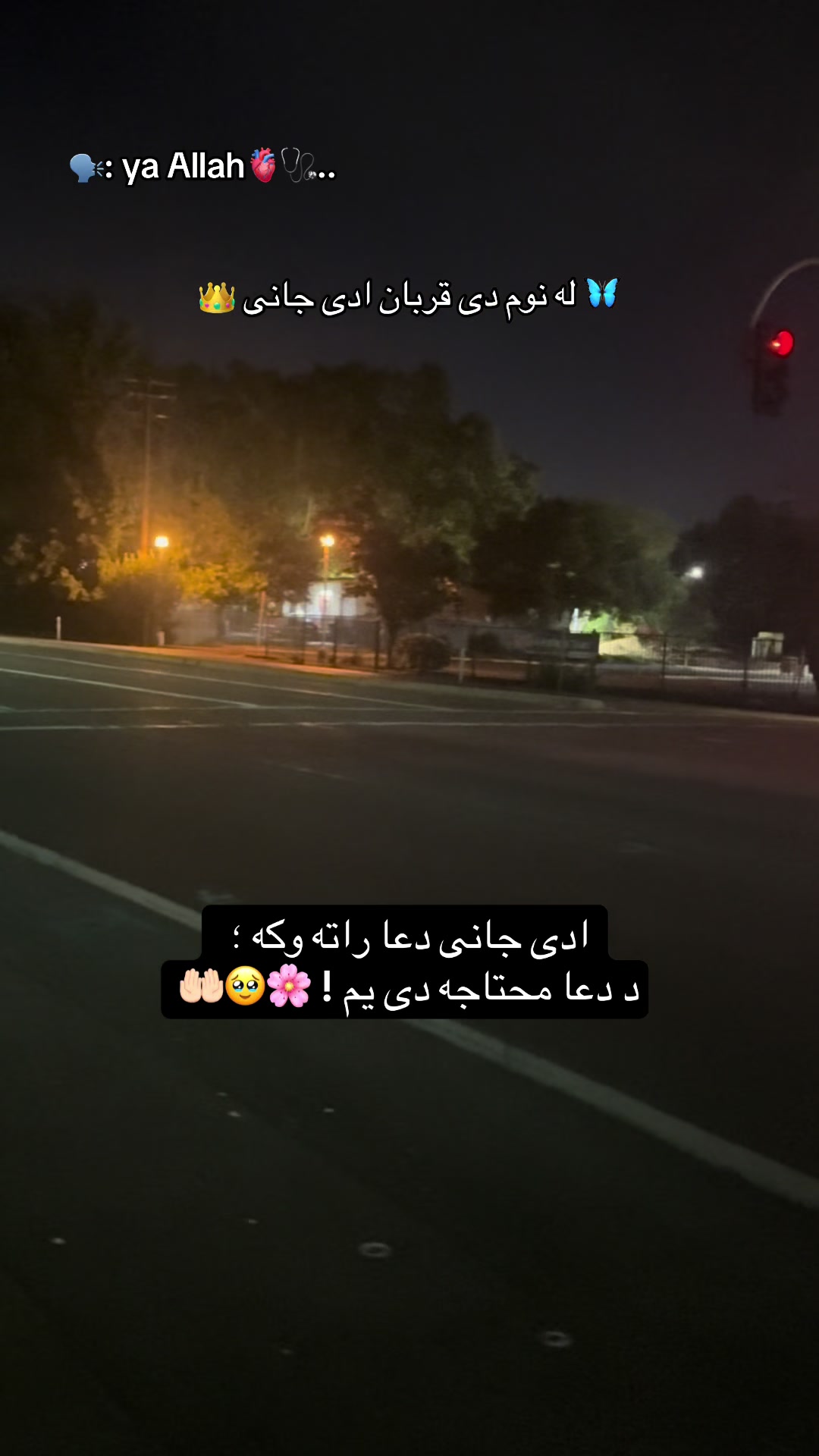 @👑🩺~Jannat~🤍🦋🇺🇸