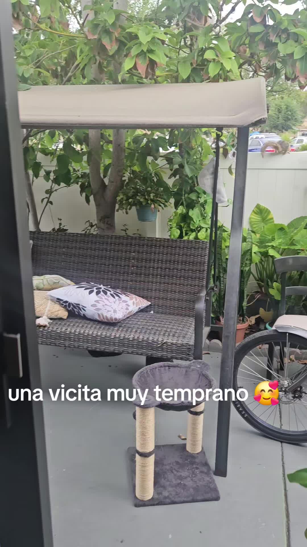 @clararabadan292