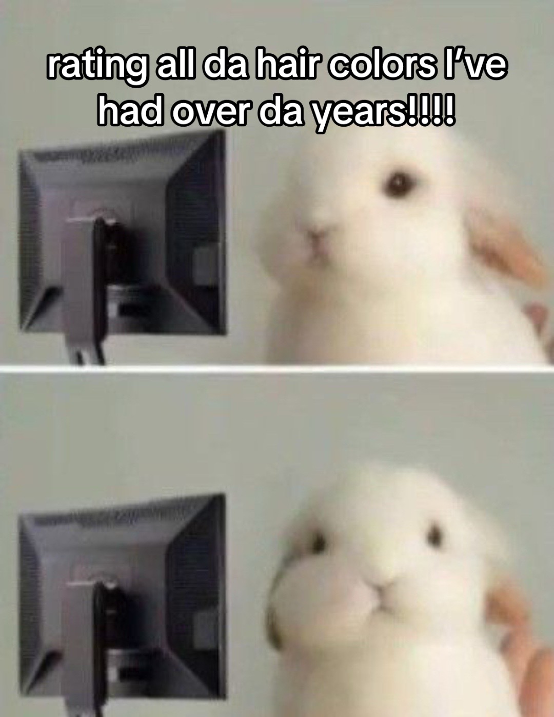 @suki 🐾