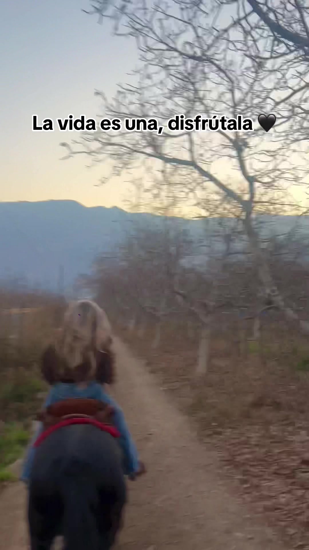 @Camila Paras Arevalo