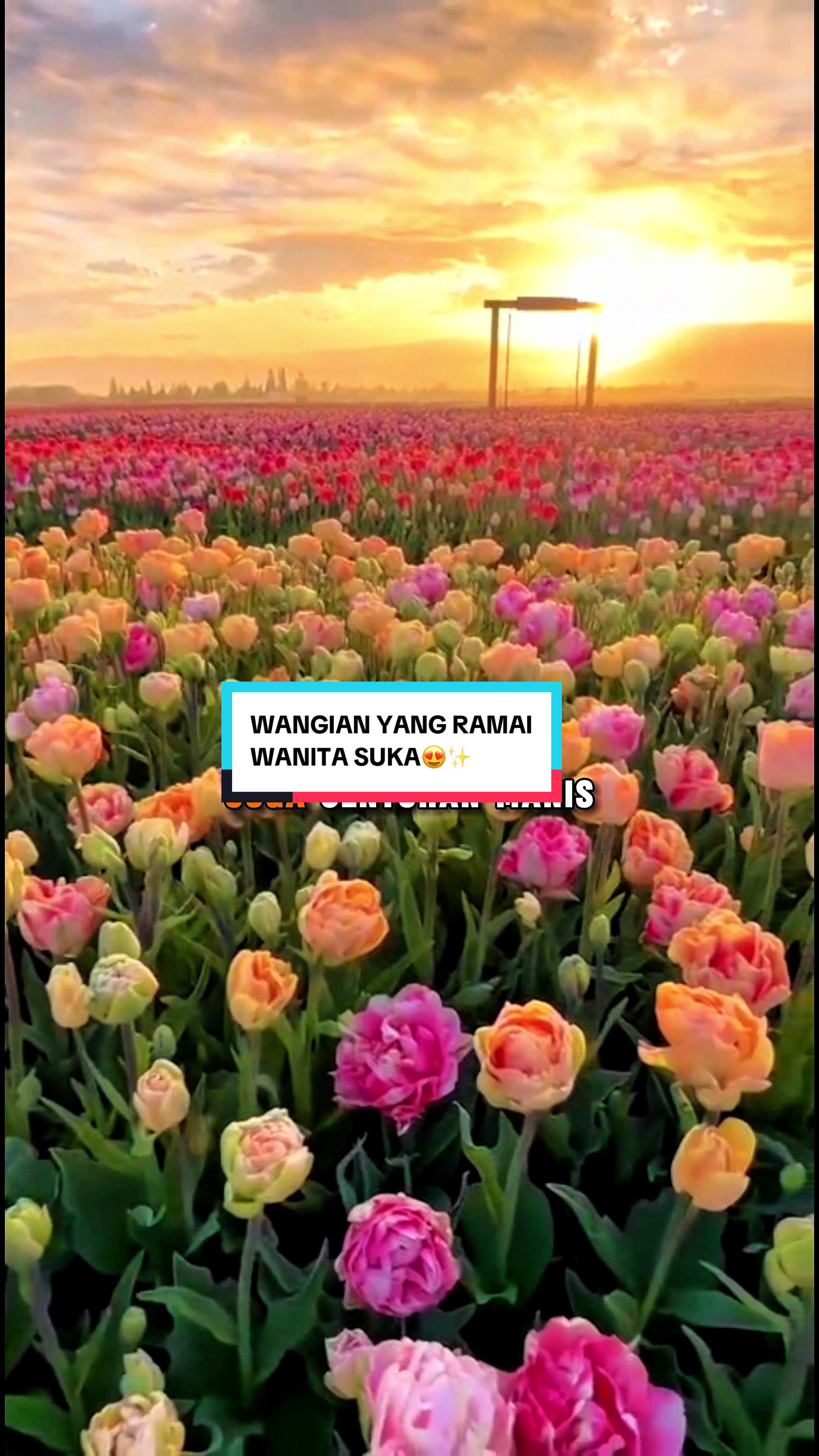 @DNAZR PERFUME