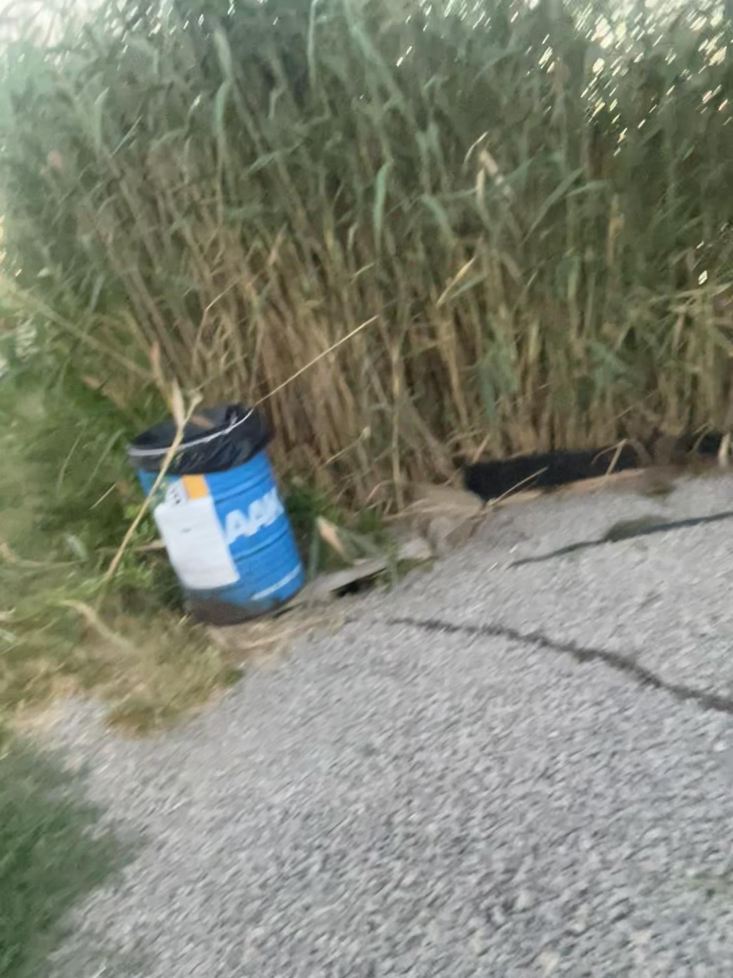 @Balta Turcoaia