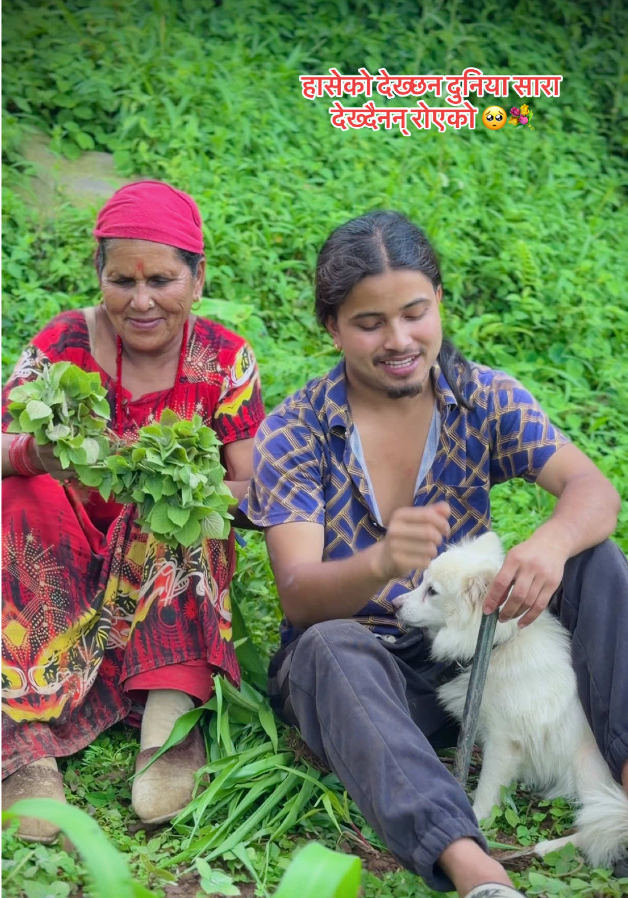 @kushalchettri75