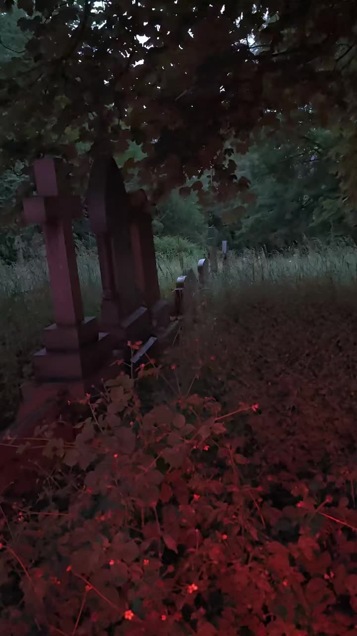 @GraveSnape🪦