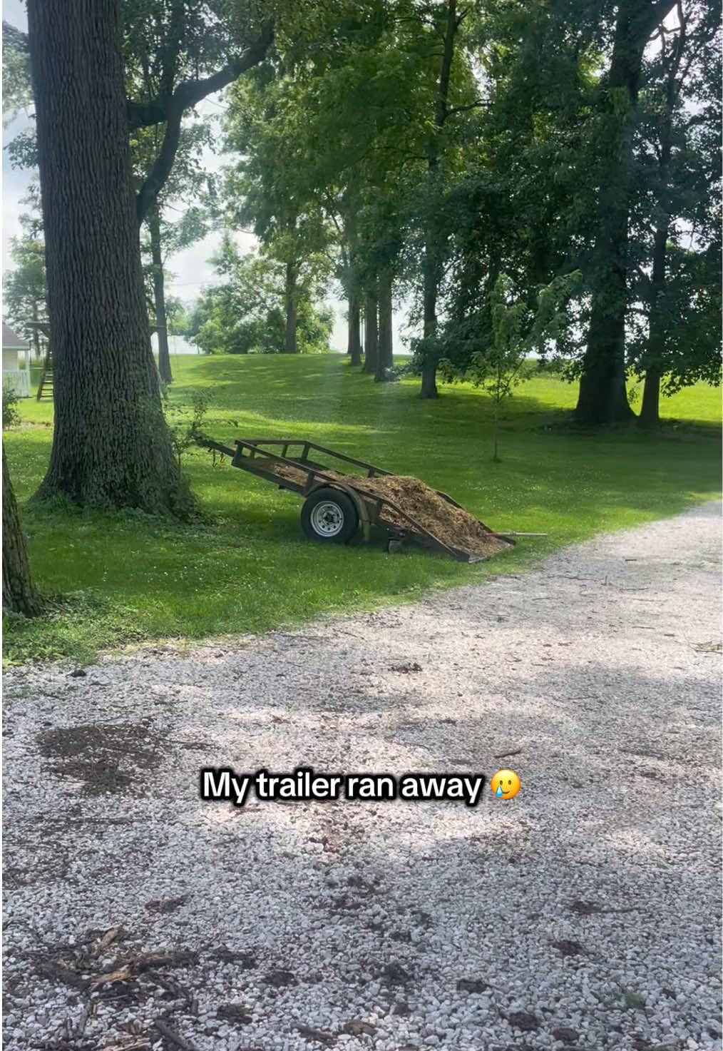 @Maple Leaf Livestock