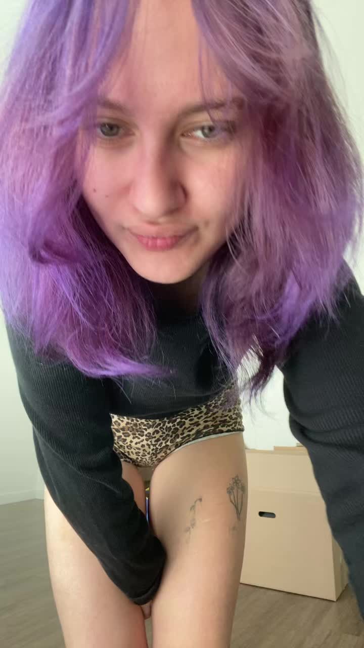 @nomibear07