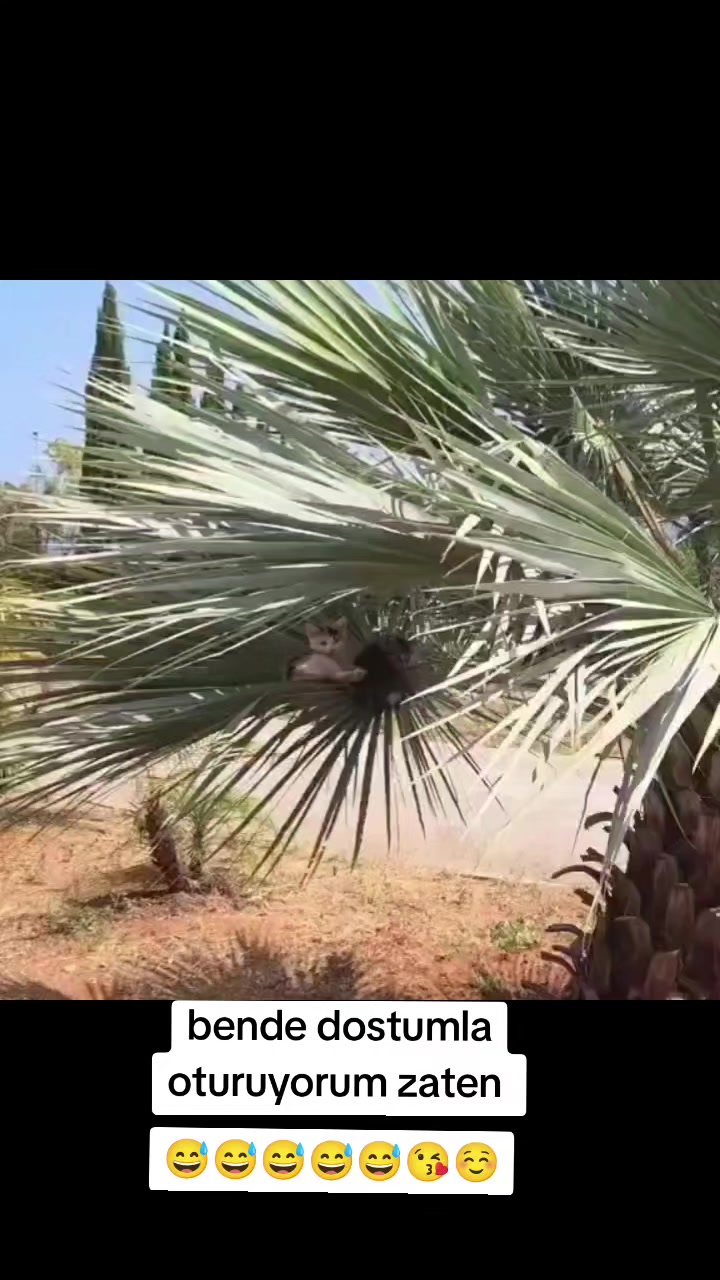 @gamzeli kızı 😊 minnoşlari