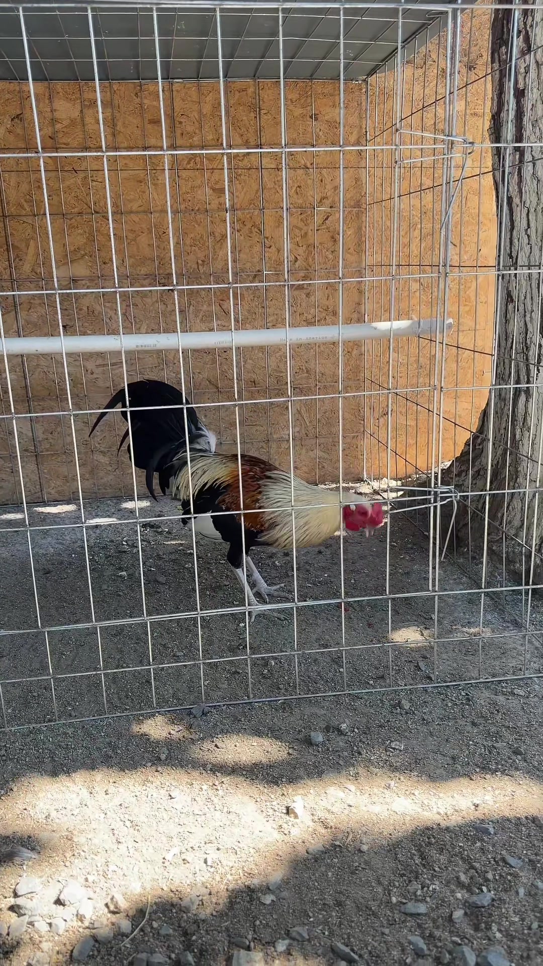 @Stranger Game Farm