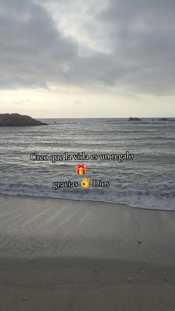 @Disgla🌹