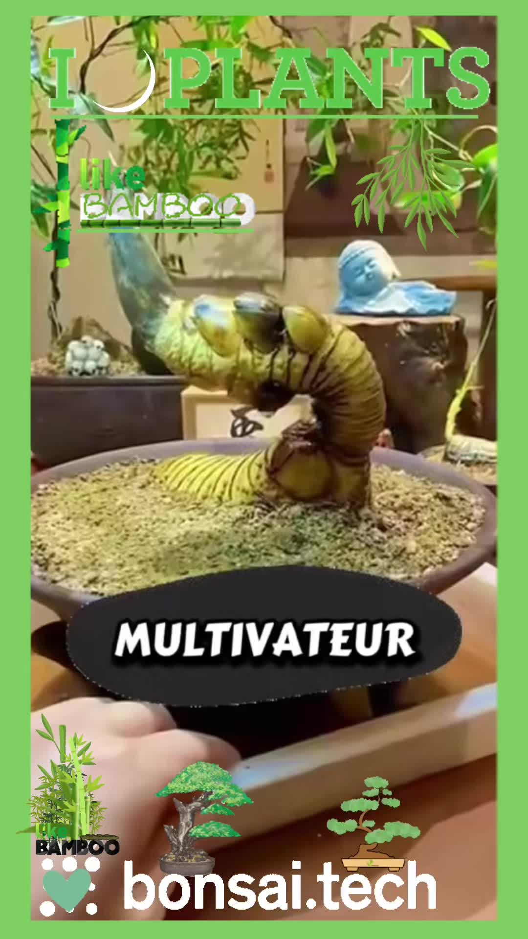 @tiktokevin