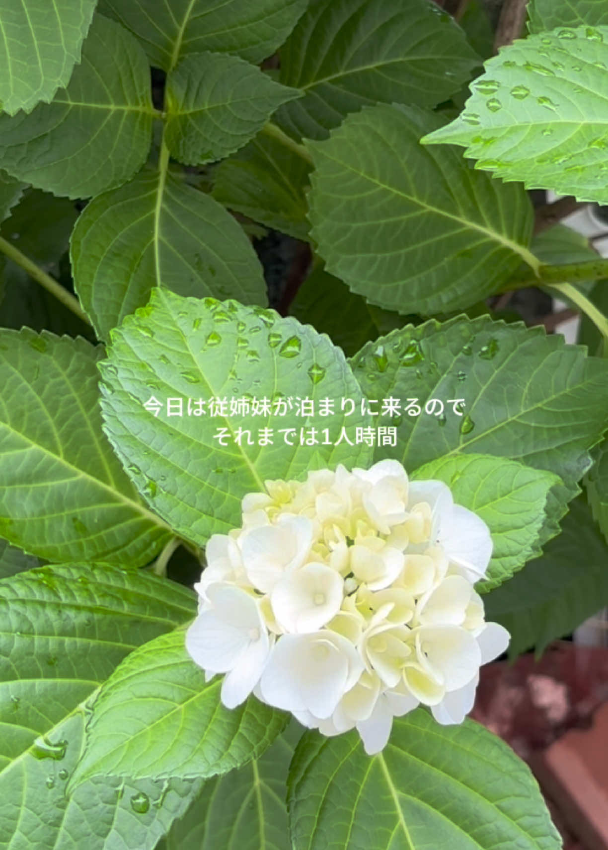 @な  の