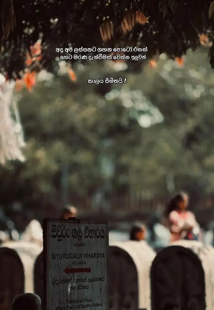 @𝙎𝗮𝗰𝗵𝗶 ┃ සචි 〲☸️🇯🇵