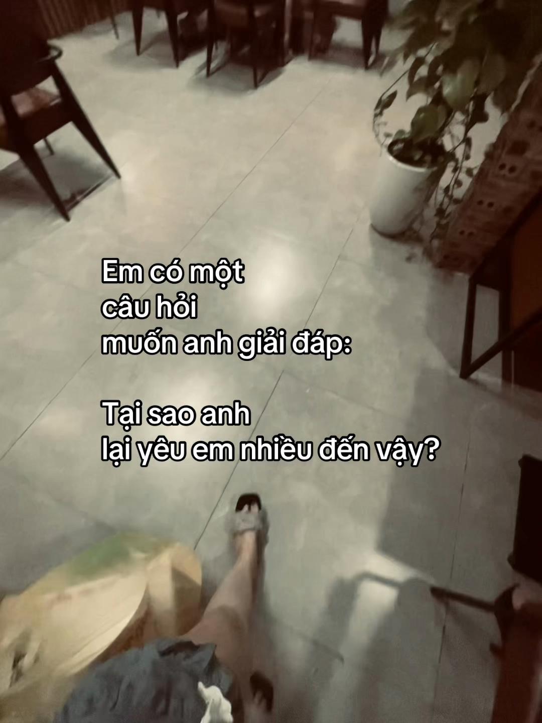 @𝘛𝘳𝘢𝘯 𝘘𝘶𝘺𝘯𝘩🍁