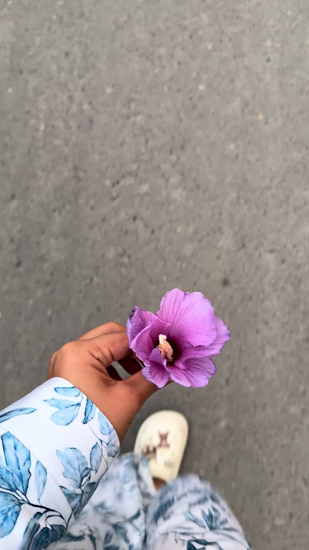 @m21