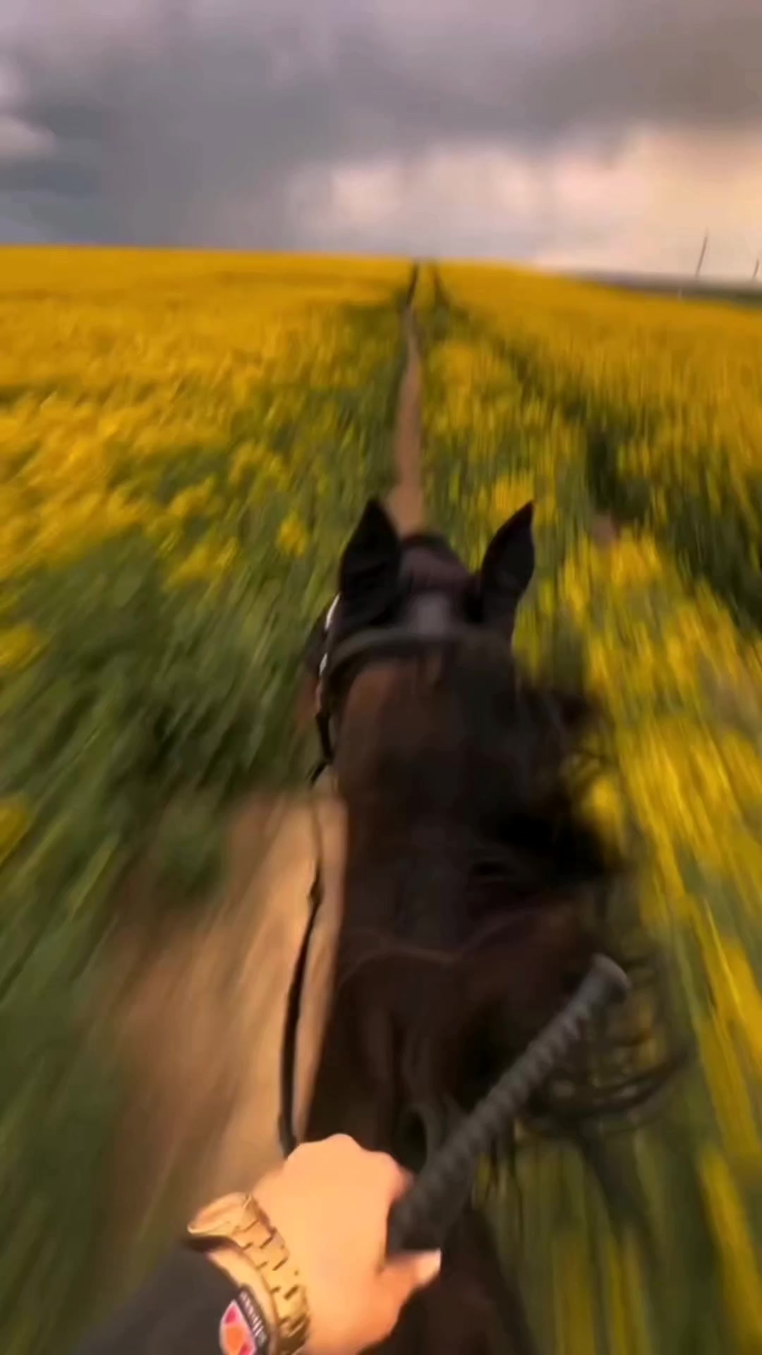 @𝐚𝐧𝐝𝐫𝐞𝐲