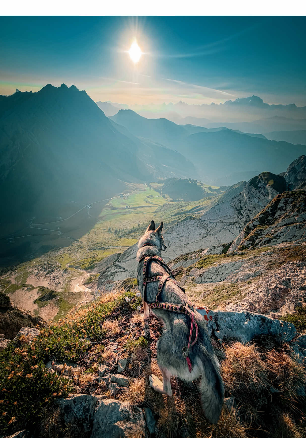 @Pierrick 🏔️