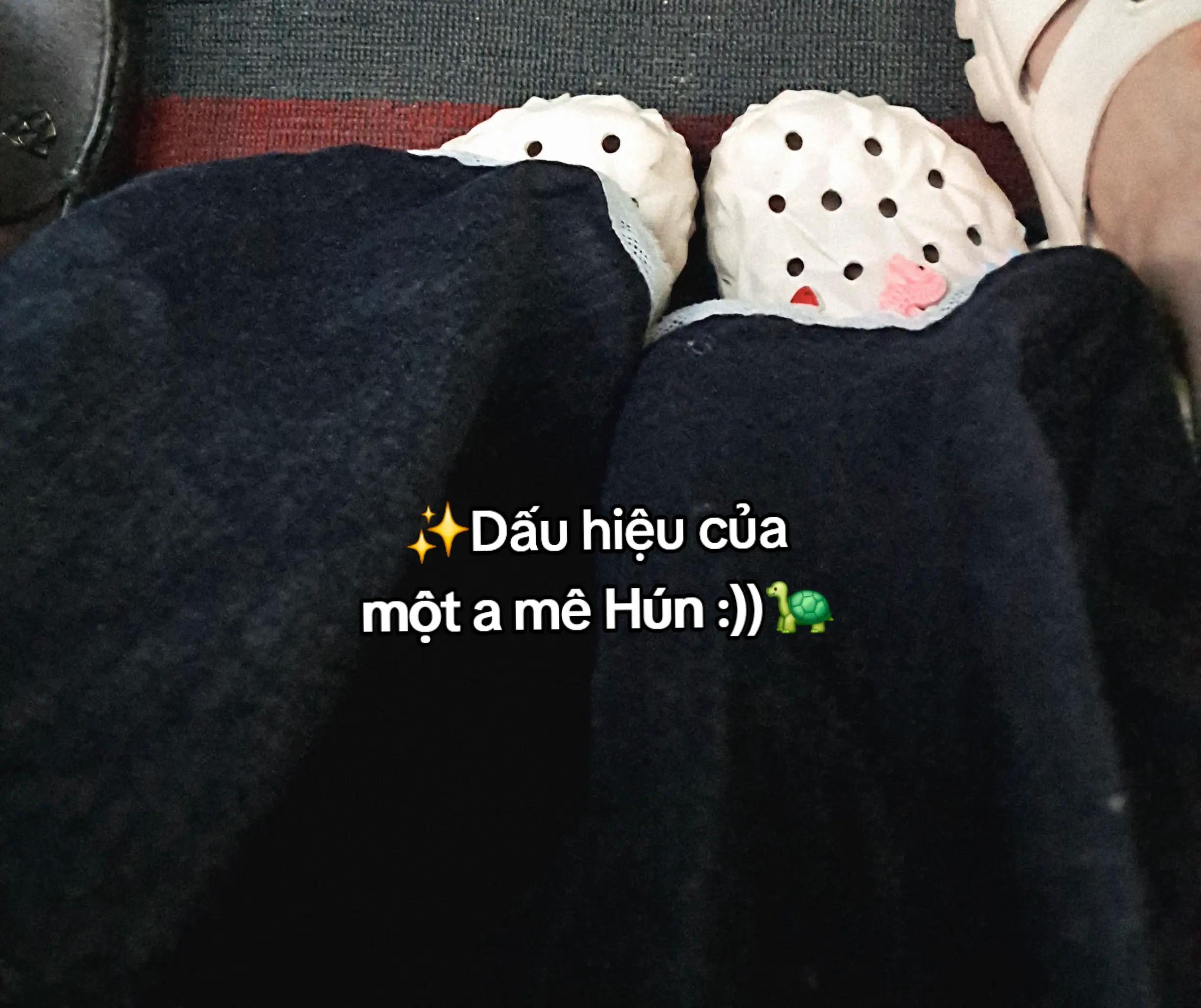 @🐢H&uacute;nn౨ৎ