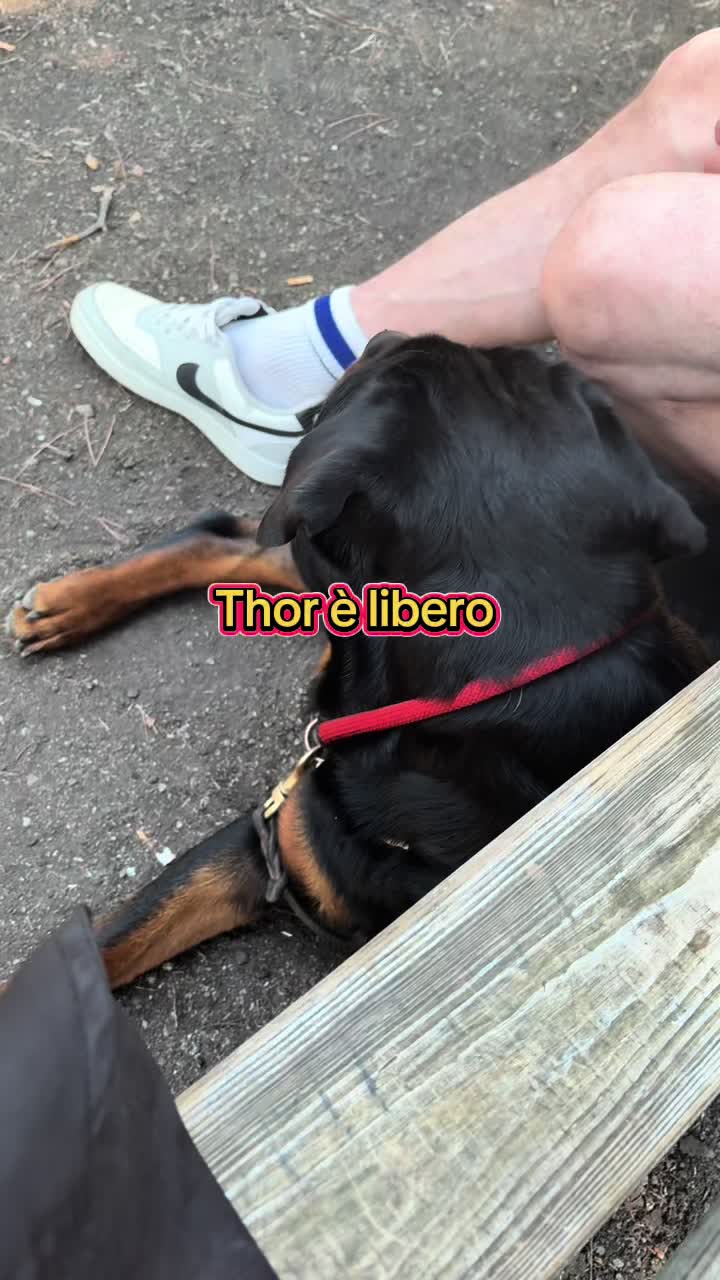 @Le avventure di Thor 🌪️ w ❤️