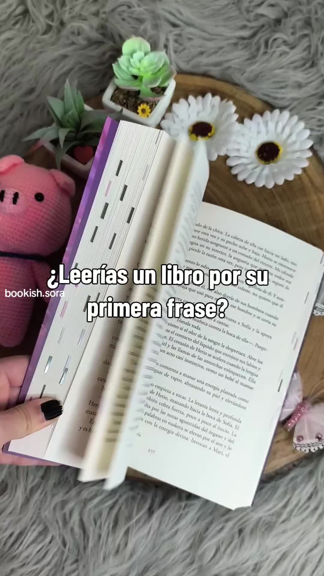 @Sora Bookish
