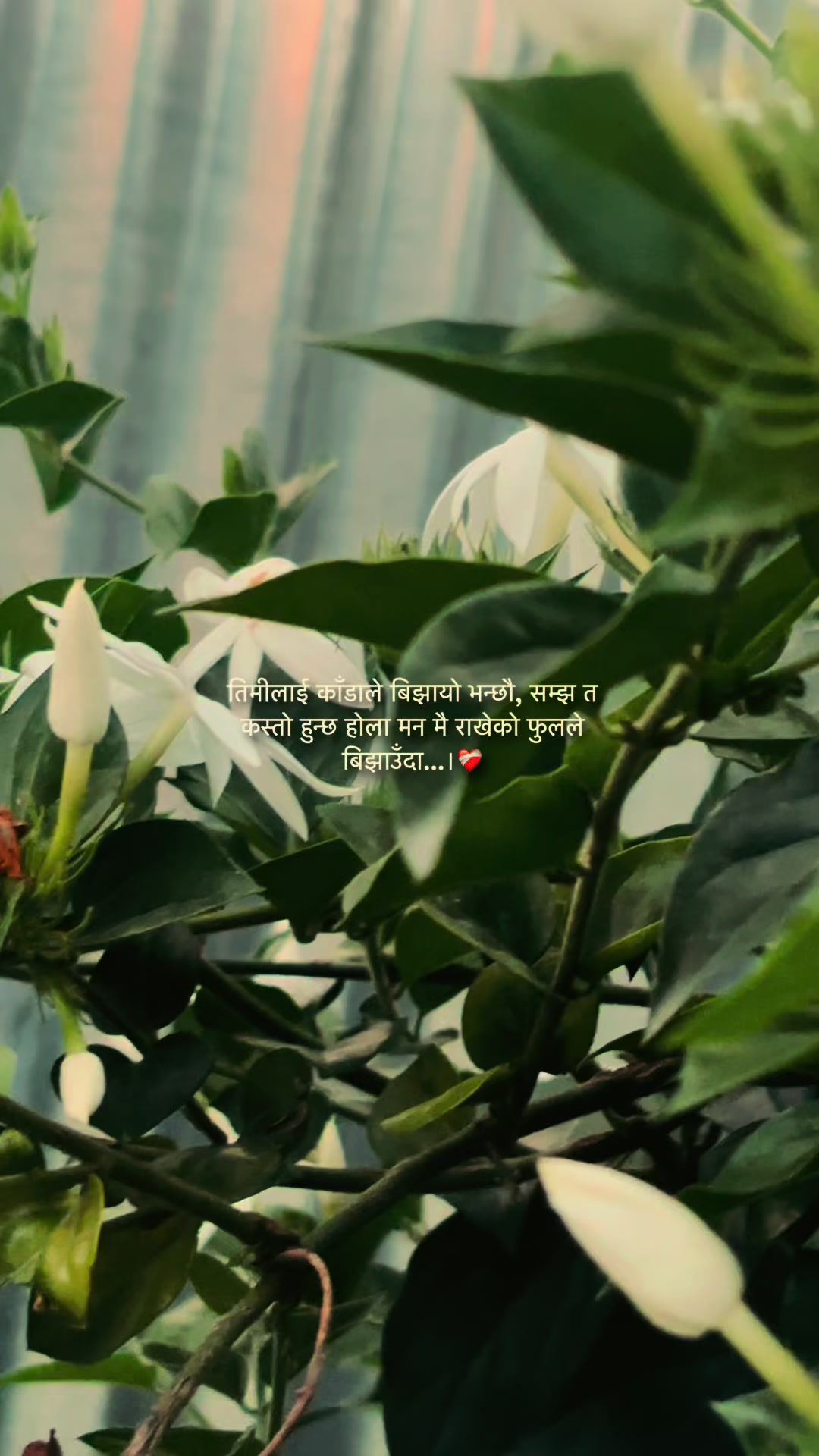 @RanjitaBasnet