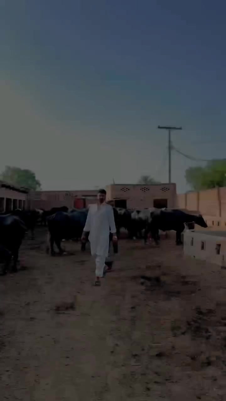 @متلبی🖤~🤧