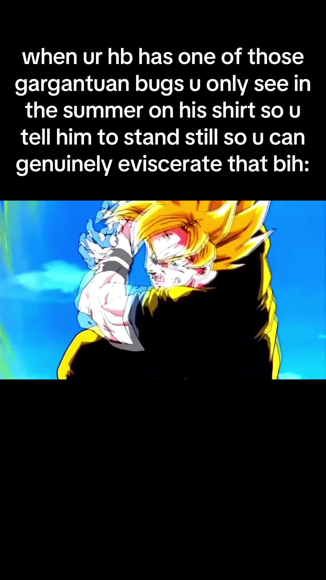 @davlicc