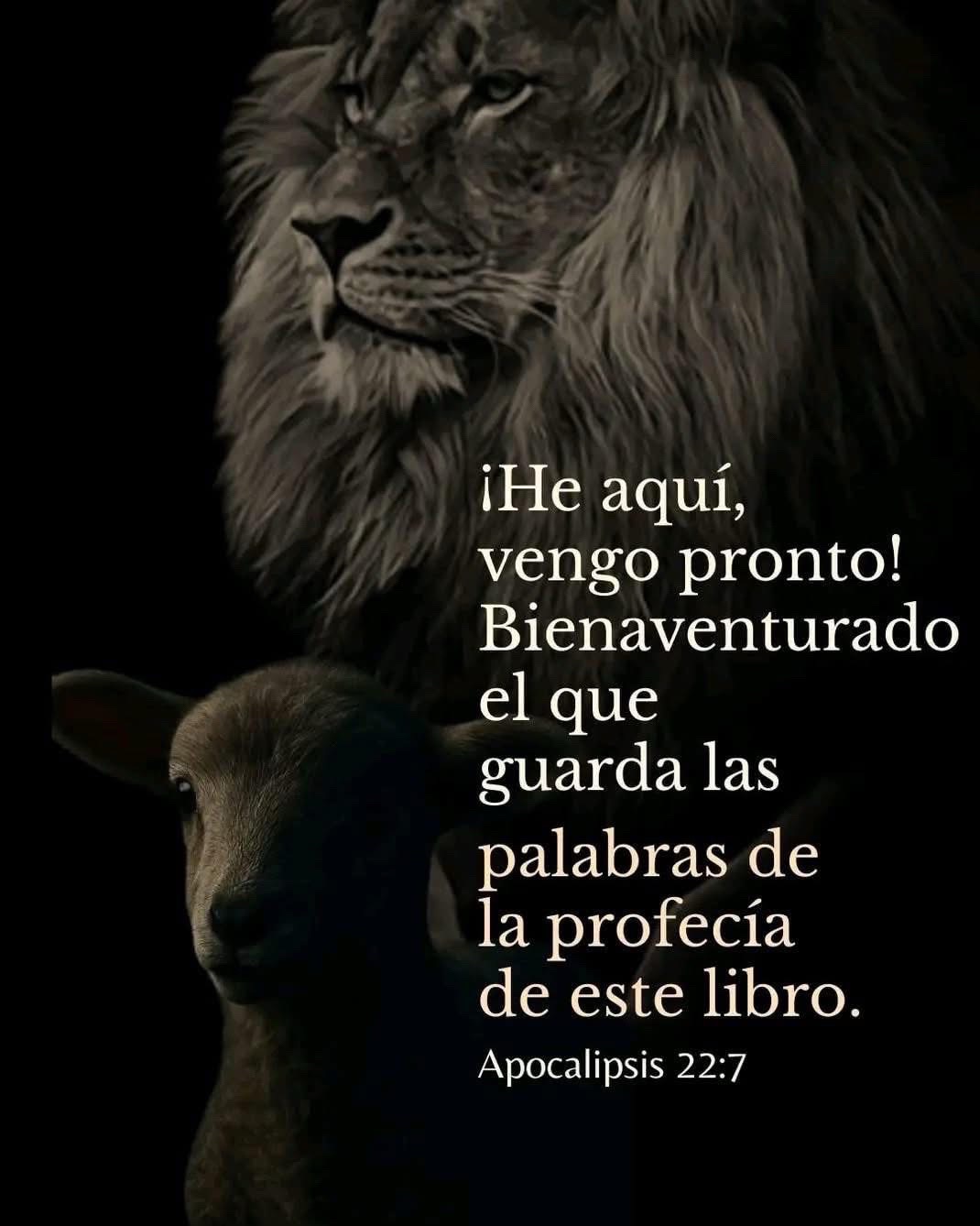 @Gisela
