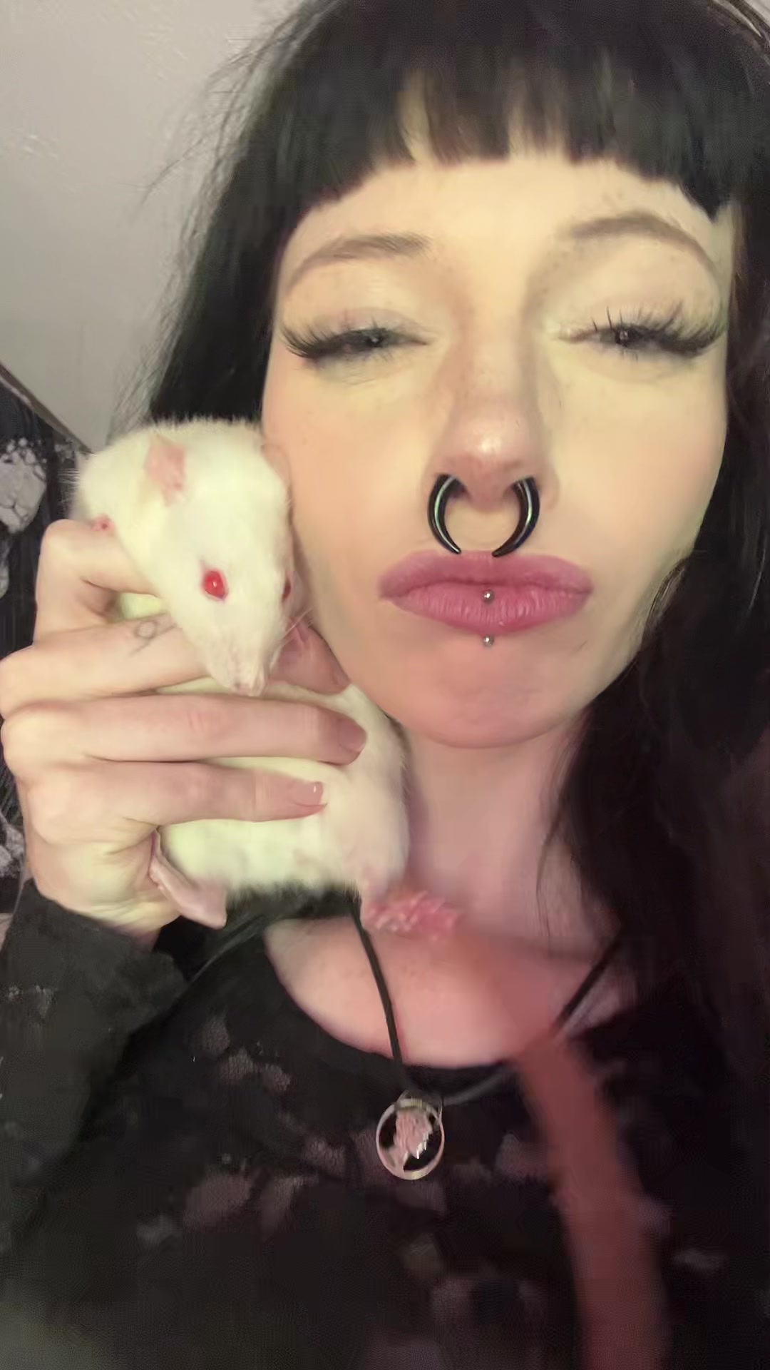 @http.gvrepixiee