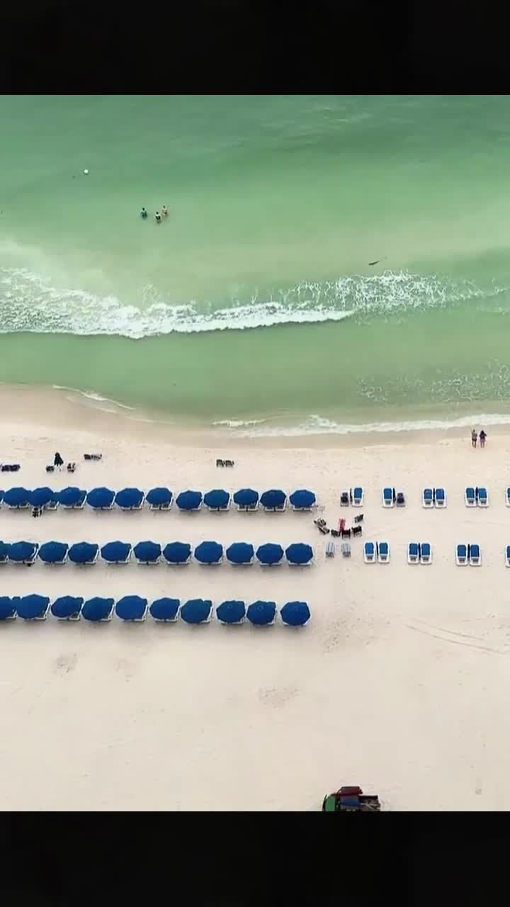 @sharkabcabc