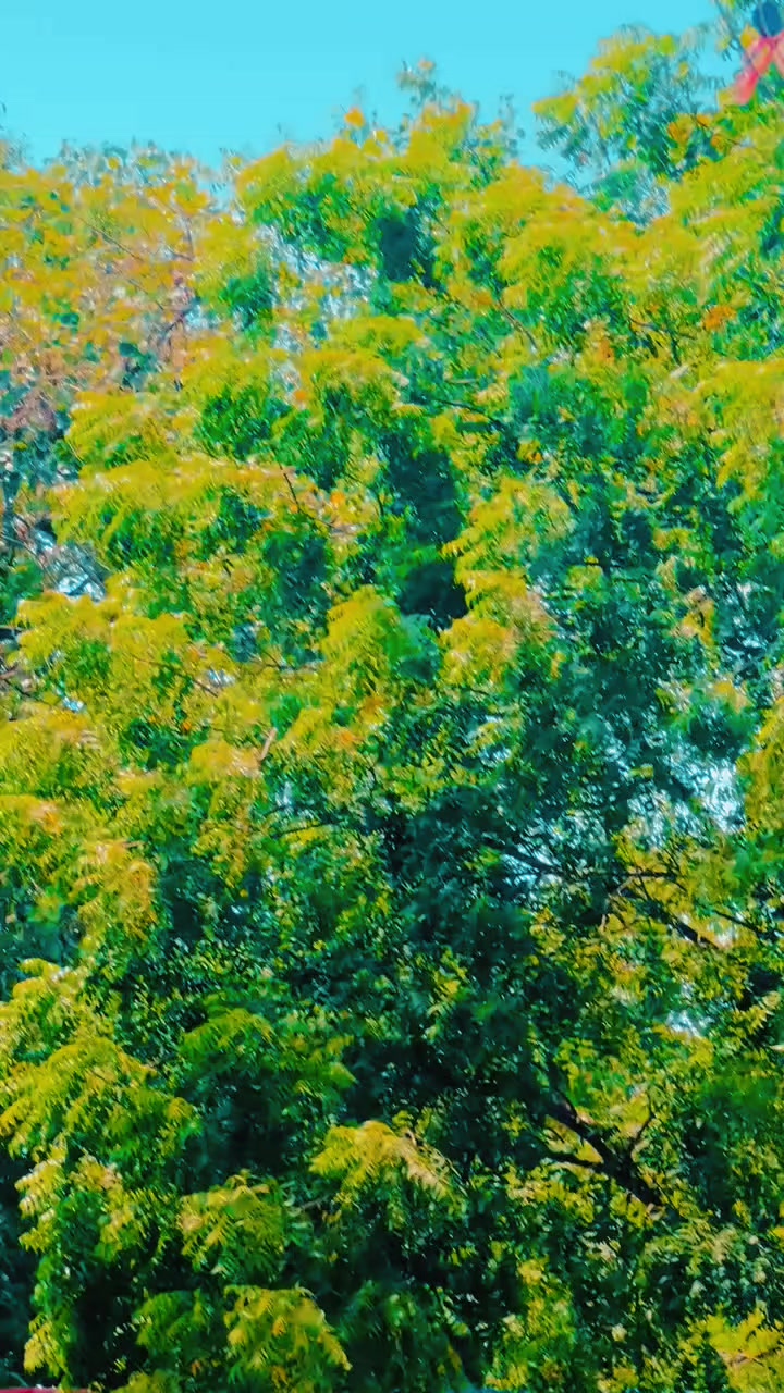 @🥀 Rajput