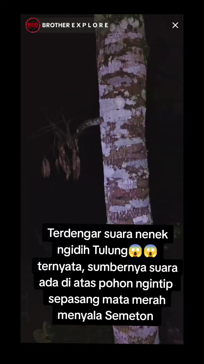 @PutuGede