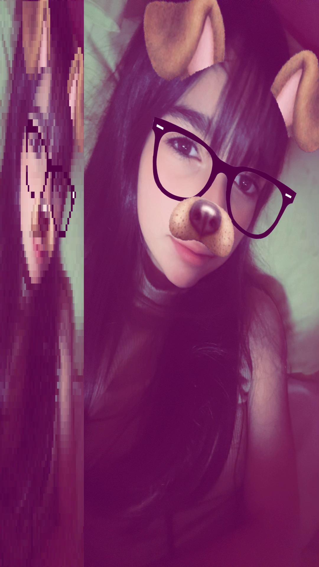 @Las pulgas🎀