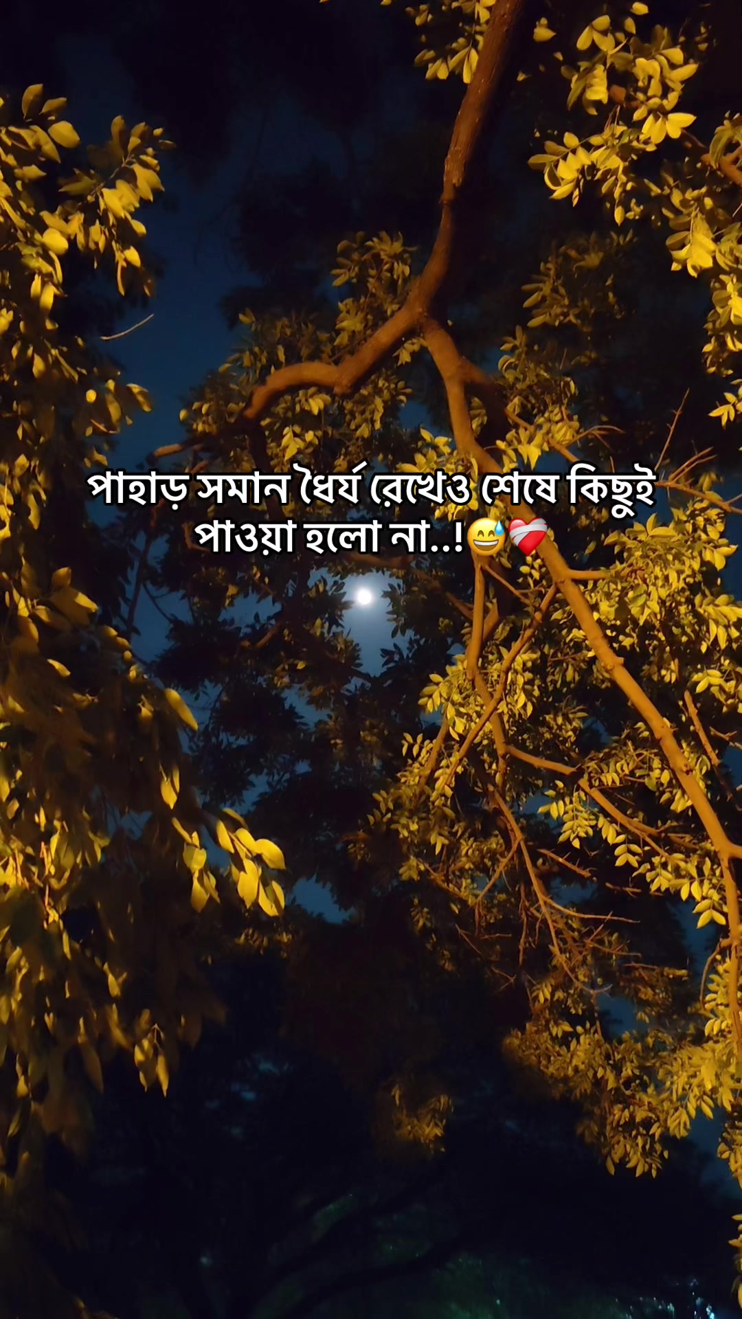 @the_spydoo🕸️ 🥏