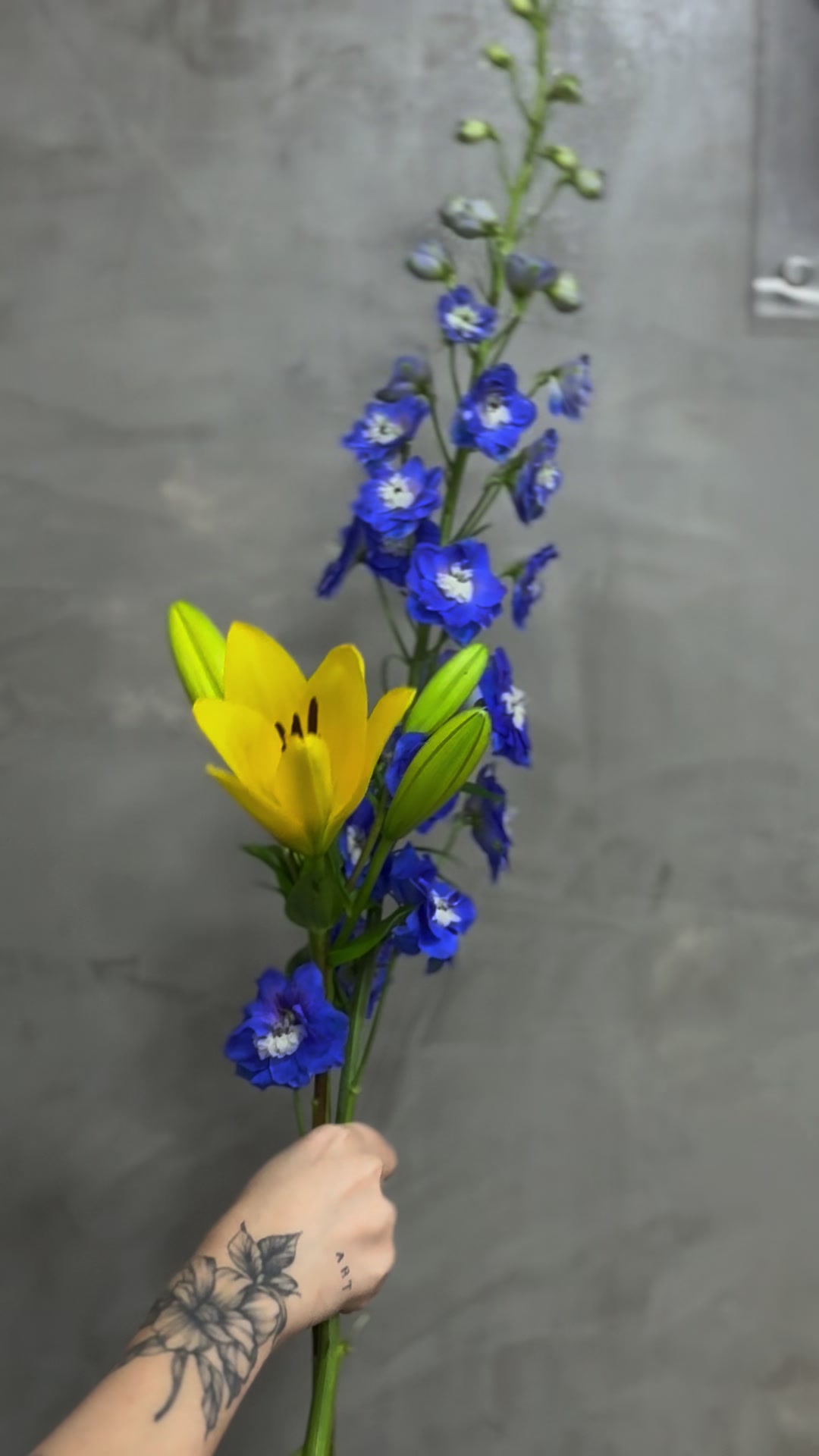 @FLOR F&Aacute;CIL