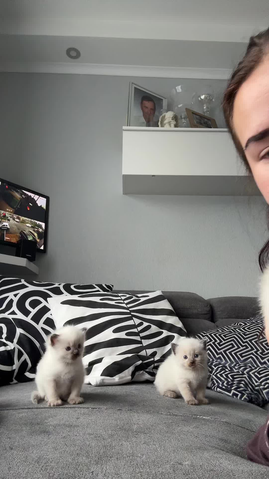 @Nikki