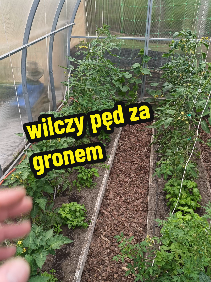 @Marcin ogrodnik