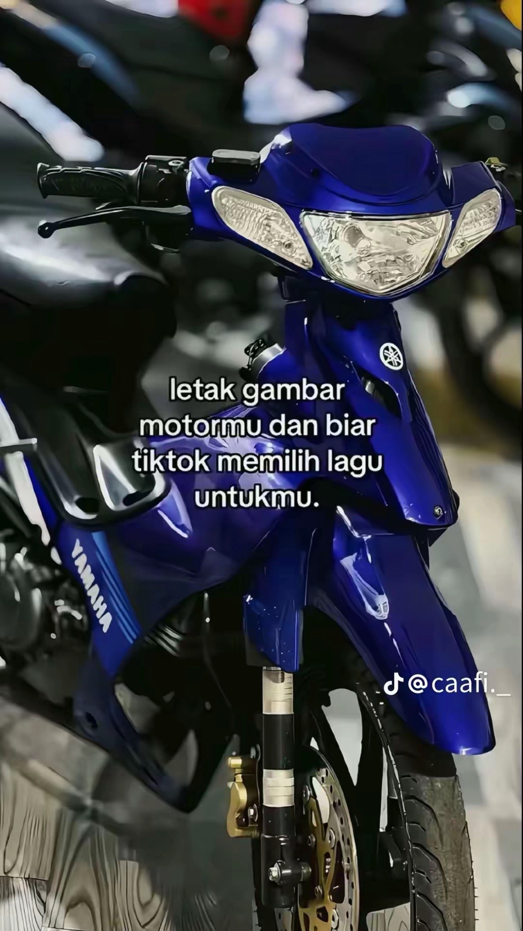 @bobol🚀